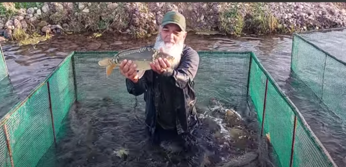 Бобои блогер