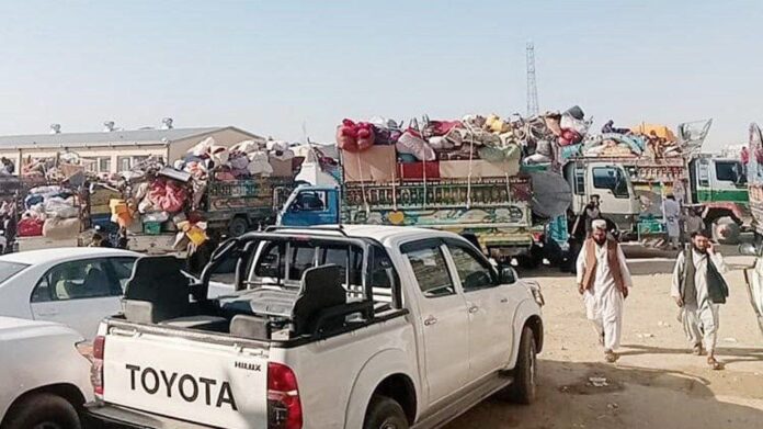 photo_2023-10-31_15-26-37