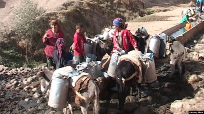 24a040c2-582e-4576-a6ed-6a67bc8ed244_cx0_cy13_cw0_w1023_r1_s