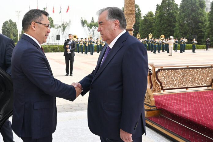 54641156145_67157e902e_b