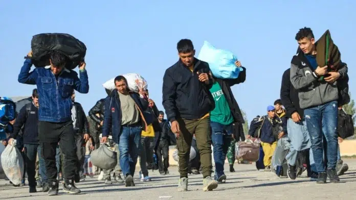 Афғон муҳоҷир