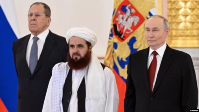 Сафири Толибон
