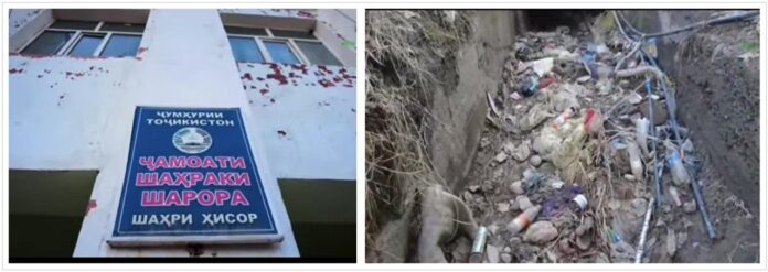 photo_6024018054909463390_y