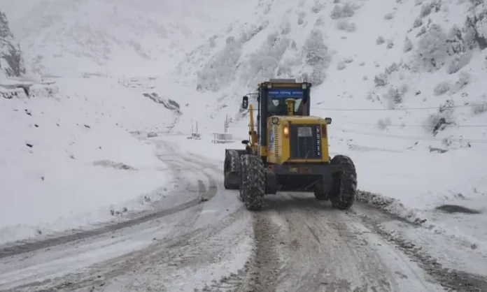 рохи-Чанок-98-11-2022-2