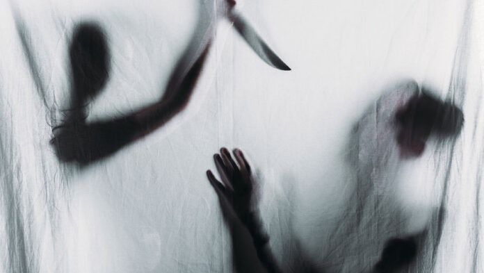 Занро бо корд