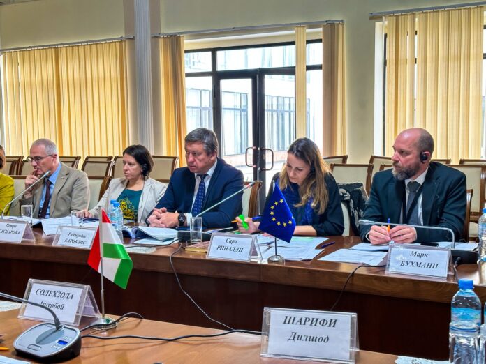 Delegation of the European Union to Tajikistan